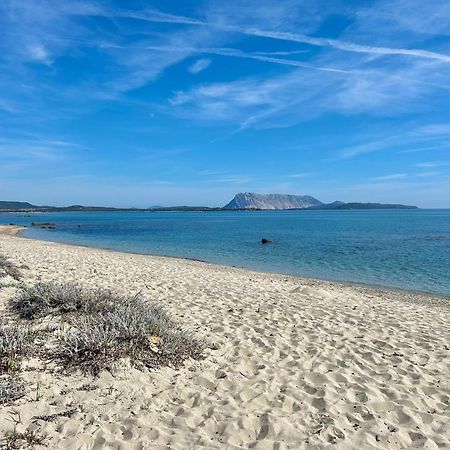 Iss Travel, San Teodoro 1 - 100 M From Cala D'Ambra Beach Zewnętrze zdjęcie
