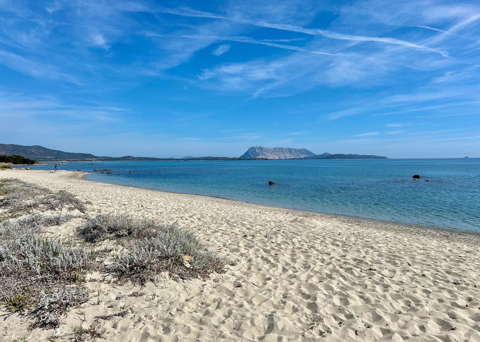 Iss Travel, San Teodoro 1 - 100 M From Cala D'Ambra Beach Zewnętrze zdjęcie
